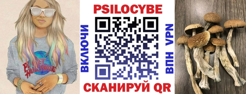 Купить где  Северодвинск  Галлюциногенные грибы Psilocybine cubensis 